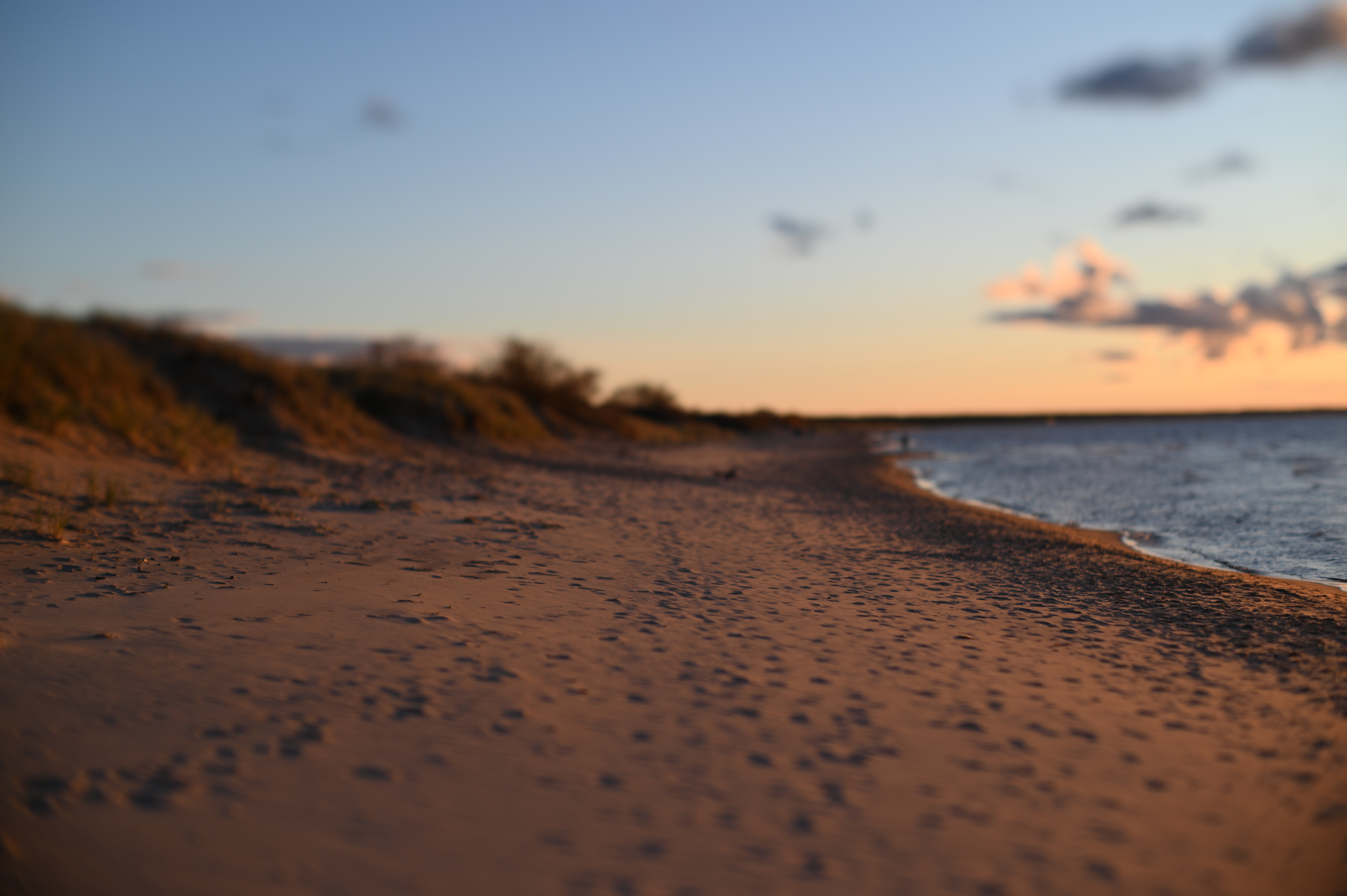 2025/10/18 - walk/DSC_0362.JPG